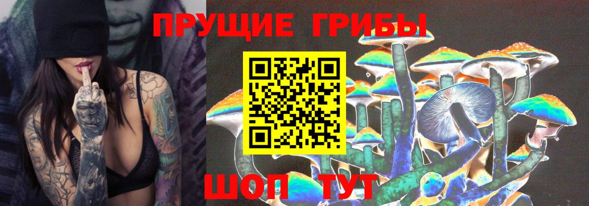 Псилоцибиновые грибы Magic Shrooms Зима